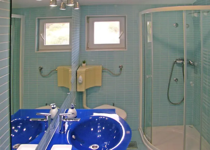 Darija * 프리모스턴